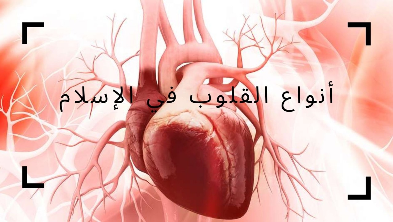 أنواع القلوب في الإسلام