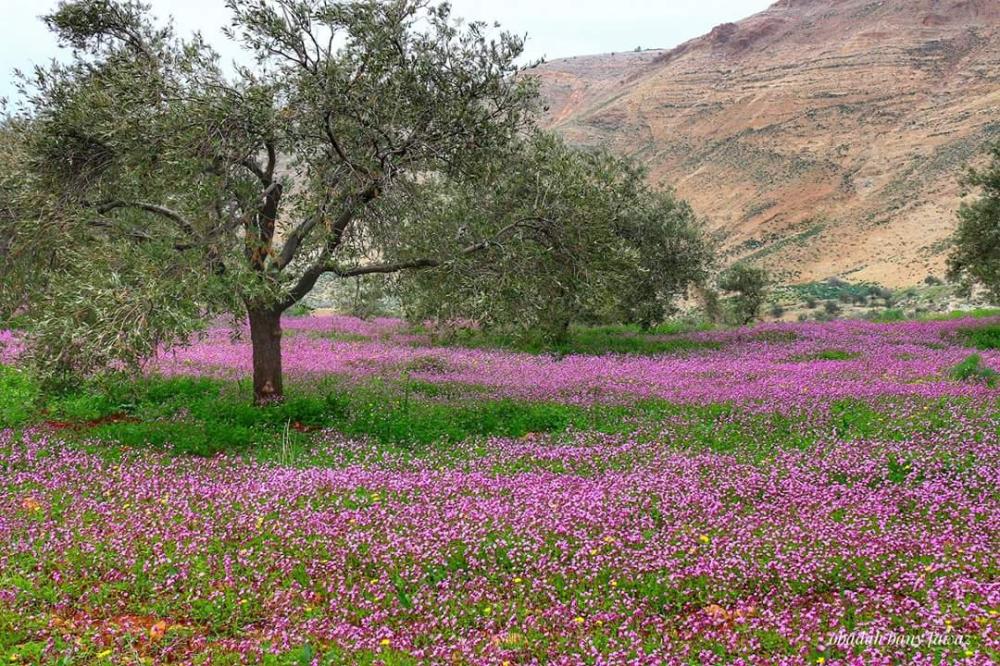 درجات الحرارة أعلى من المعدل اليوم وغدًا