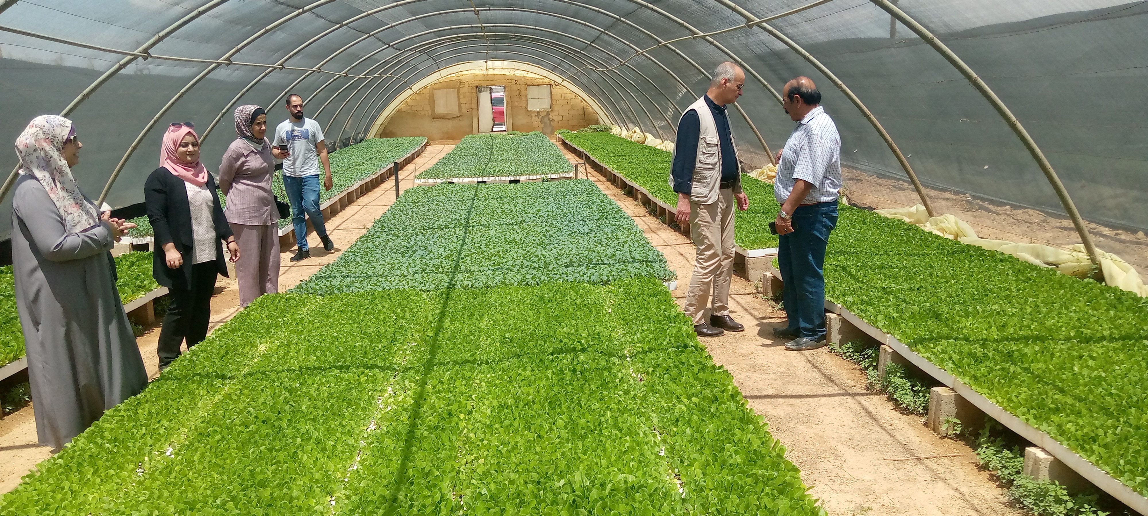 مدير المؤسسة التعاونية يطلع على مشاريع مستفيدة من المبادرة الملكية لدعم القطاع التعاوني